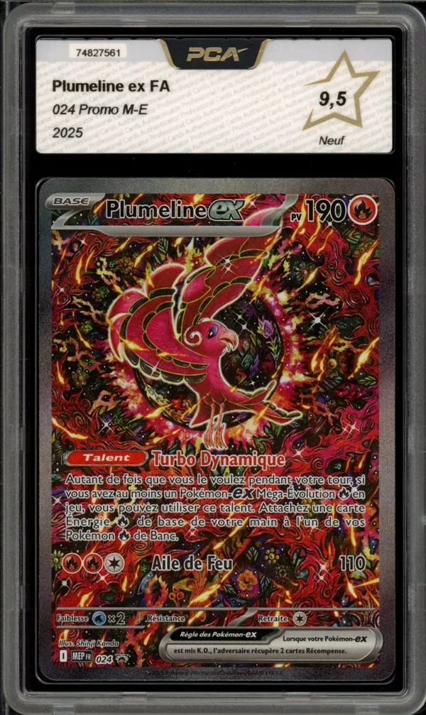 PCA 9.5 Plumeline Ex