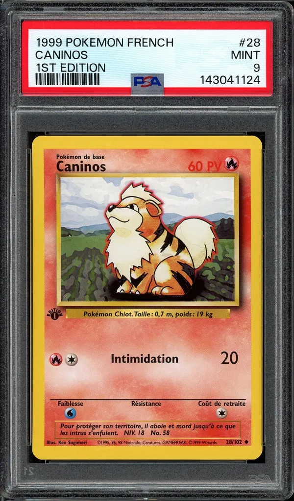 PSA 9 Caninos