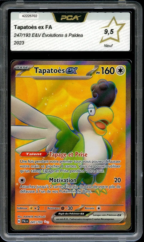 PCA 9.5 Tapatoès Ex