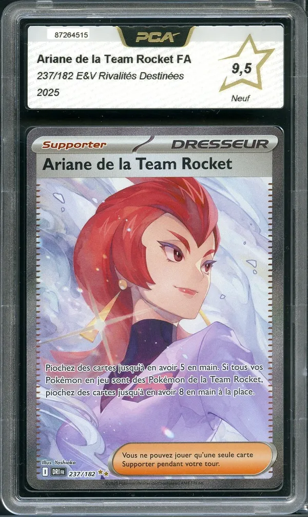 PCA 9.5 Ariane de la Team Rocket