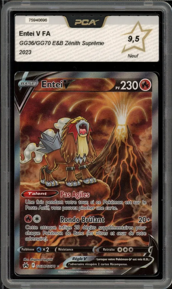 PCA 9.5 Entei V
