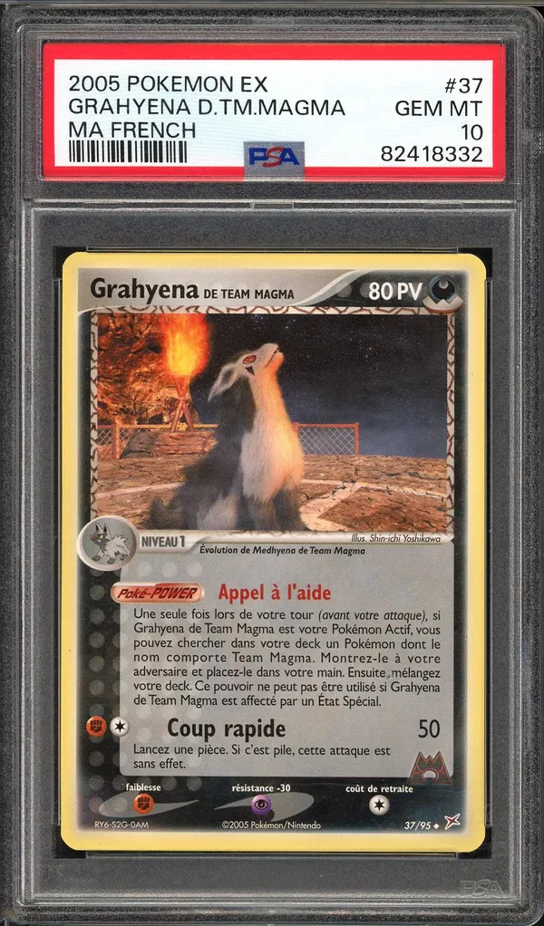 PSA 10 Grahyèna de Team Magma