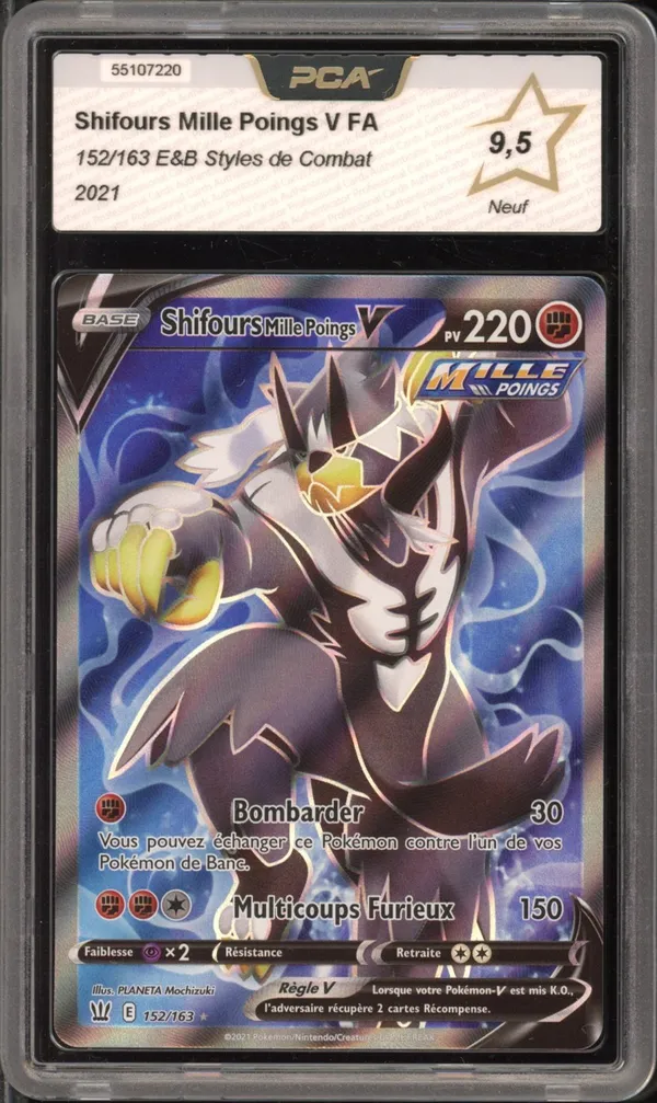 PCA 9.5 Shifours Mille Poings V