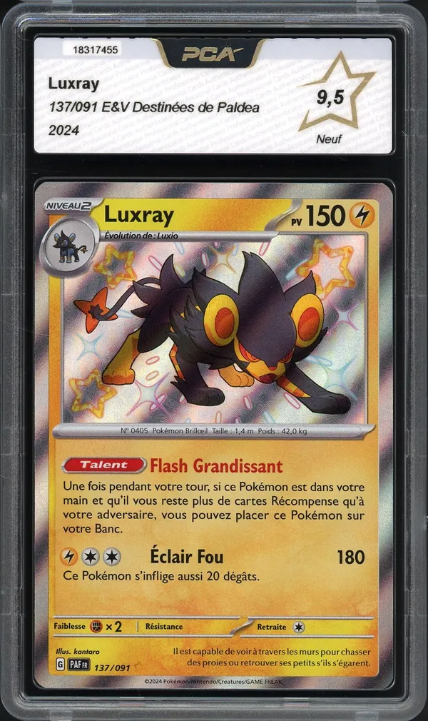 PCA 9.5 Luxray Shiny
