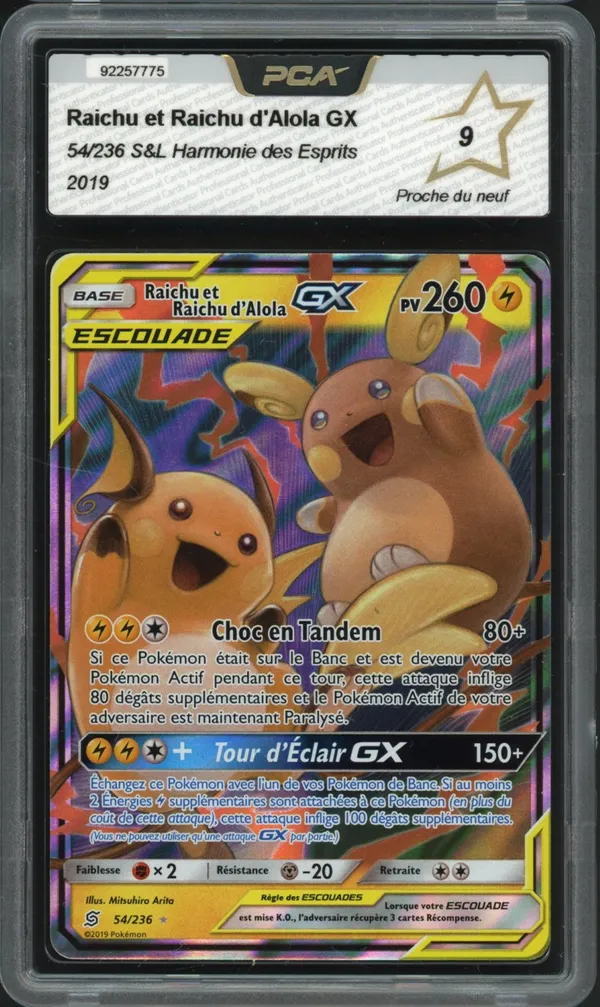 PCA 9 Raichu et Raichu d'Alola Gx