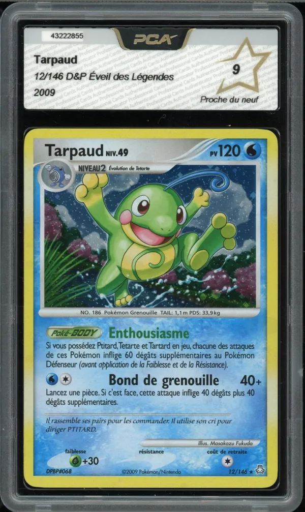PCA 9 Tarpaud Holo
