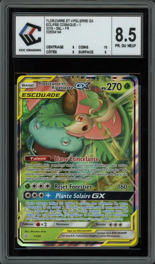CCC 8.5 Florizarre et Vipélierre Gx