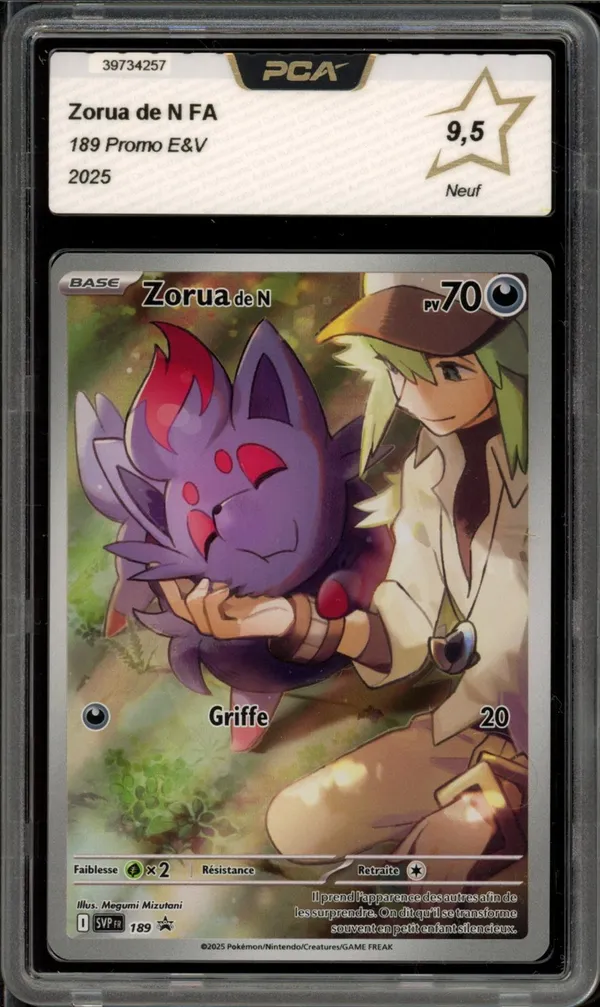 PCA 9.5 Zorua de N