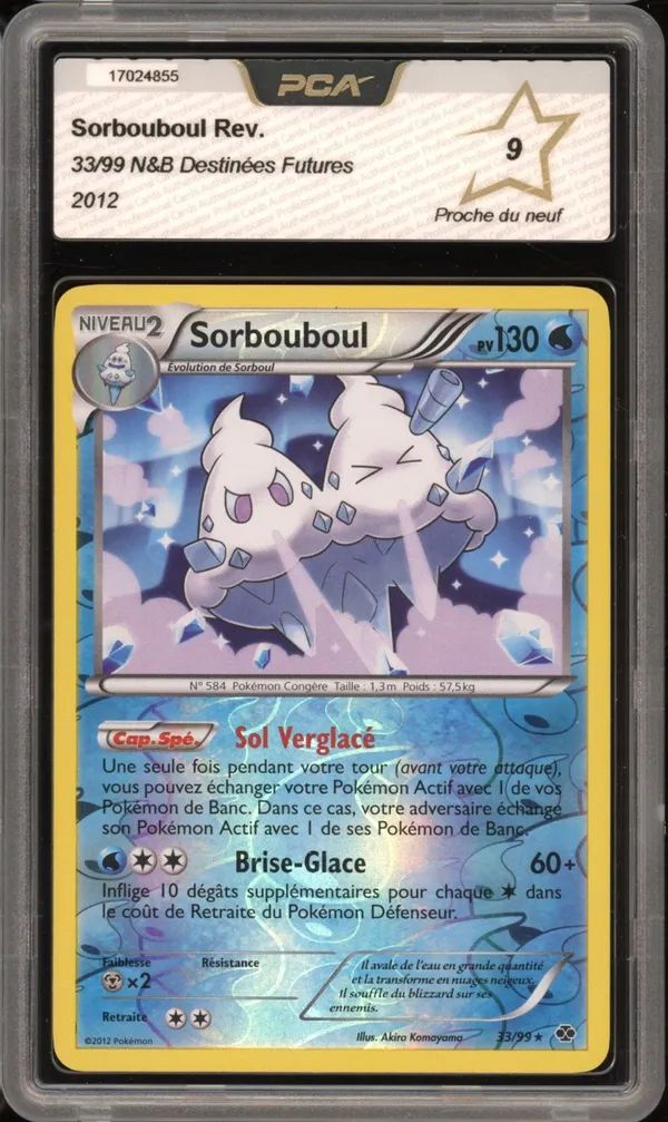 PCA 9 Sorbouboul Reverse