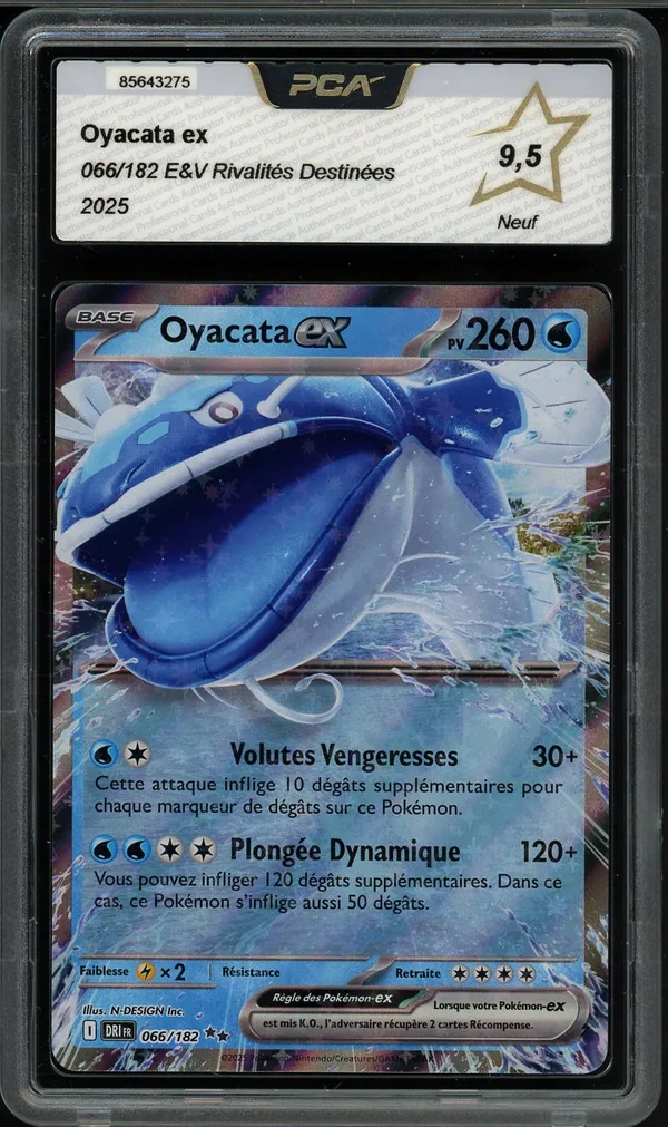 PCA 9.5 Oyacata Ex