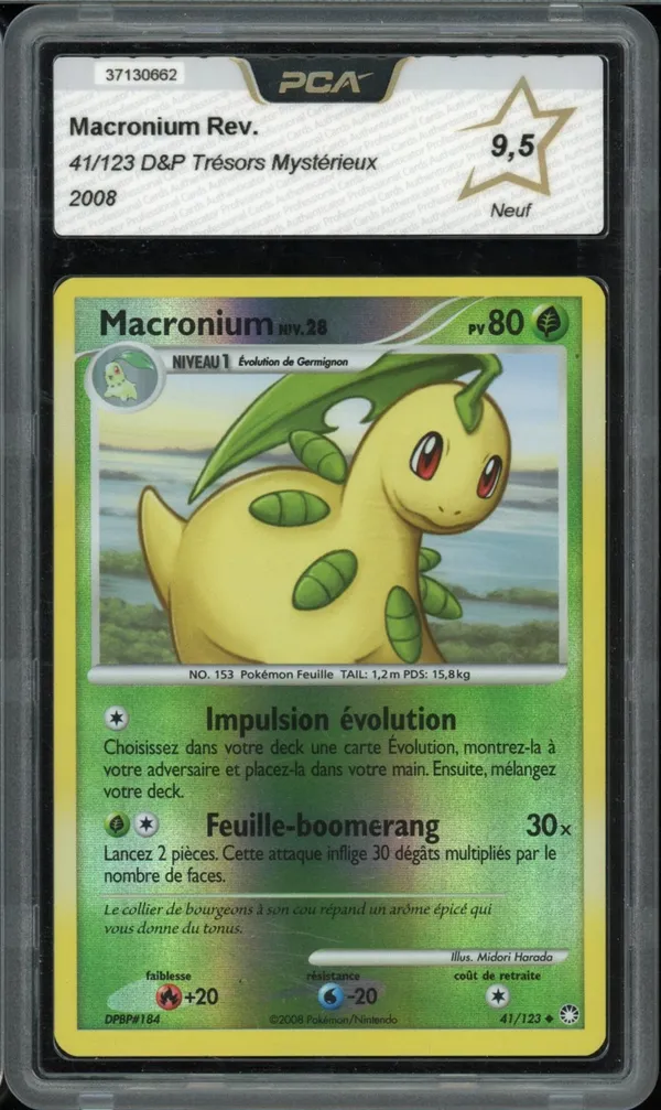 PCA 9.5 Macronium Reverse