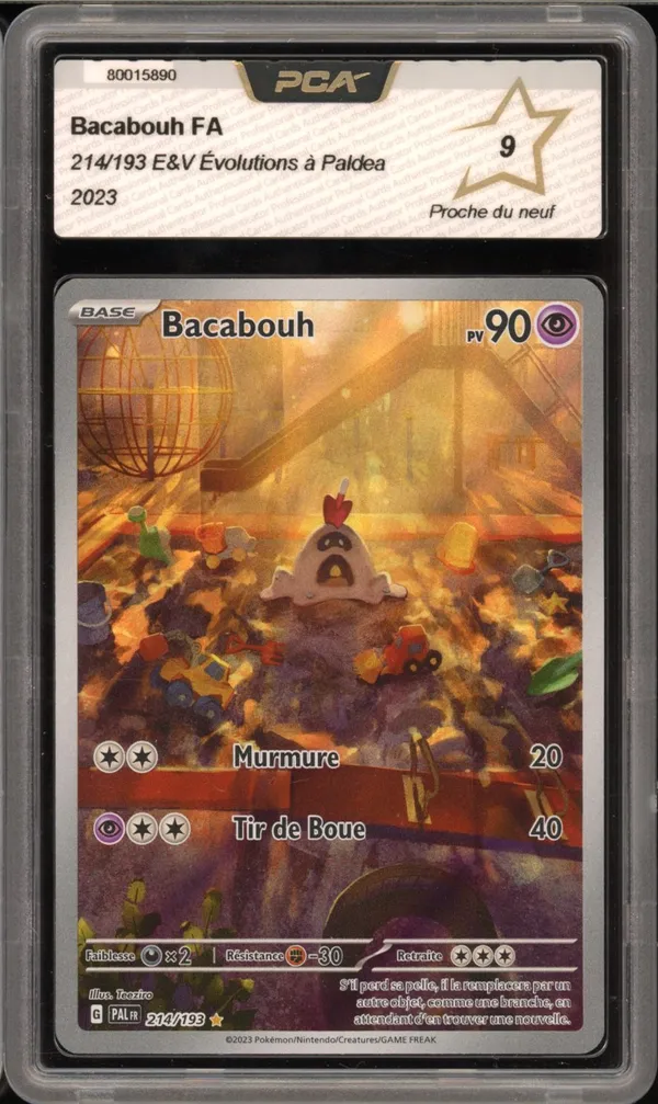 PCA 9 Bacabouh