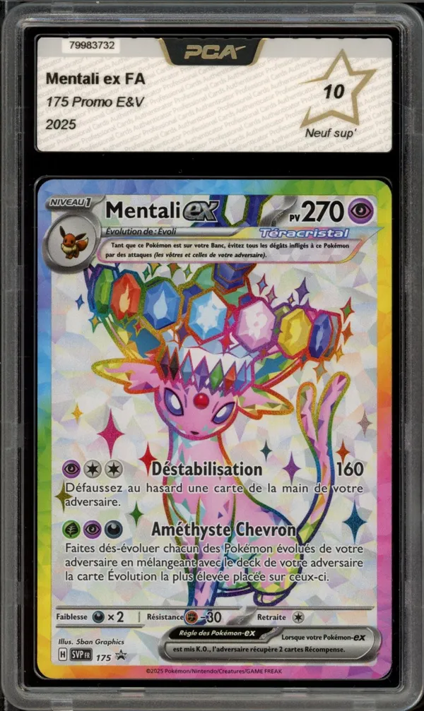 PCA 10 Mentali Ex