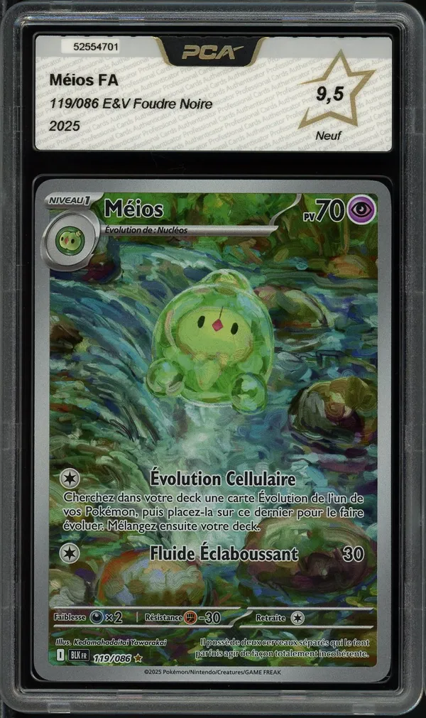 PCA 9.5 Méios