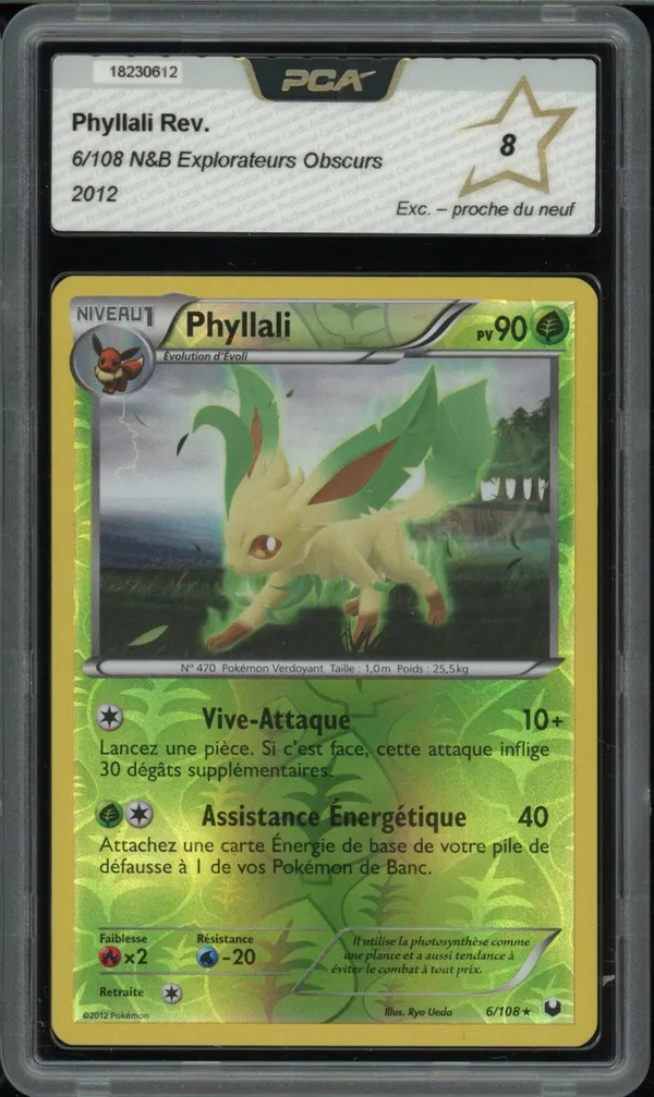 PCA 8 Phyllali Reverse