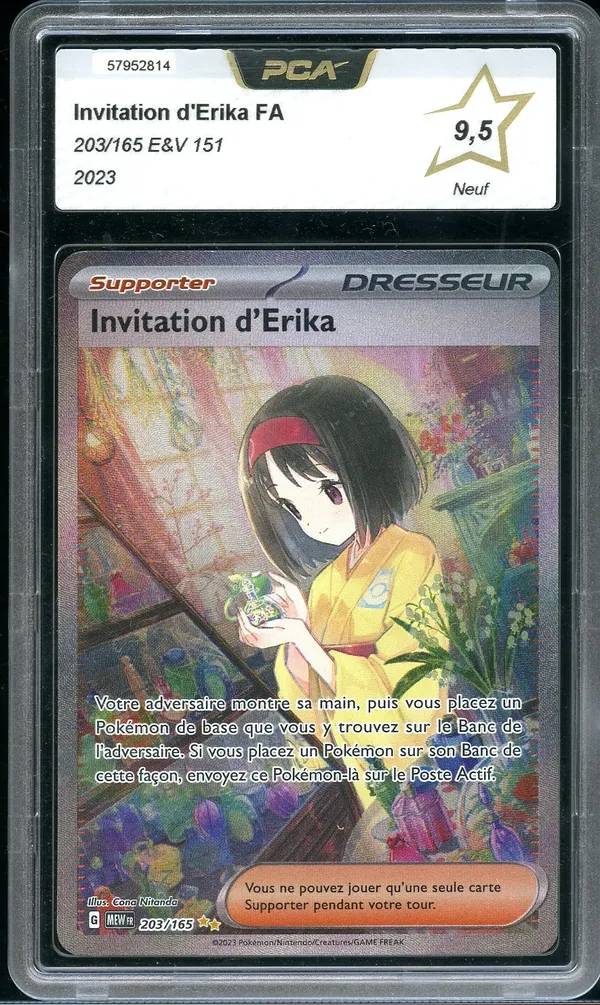 PCA 9.5 Invitation d'Erika