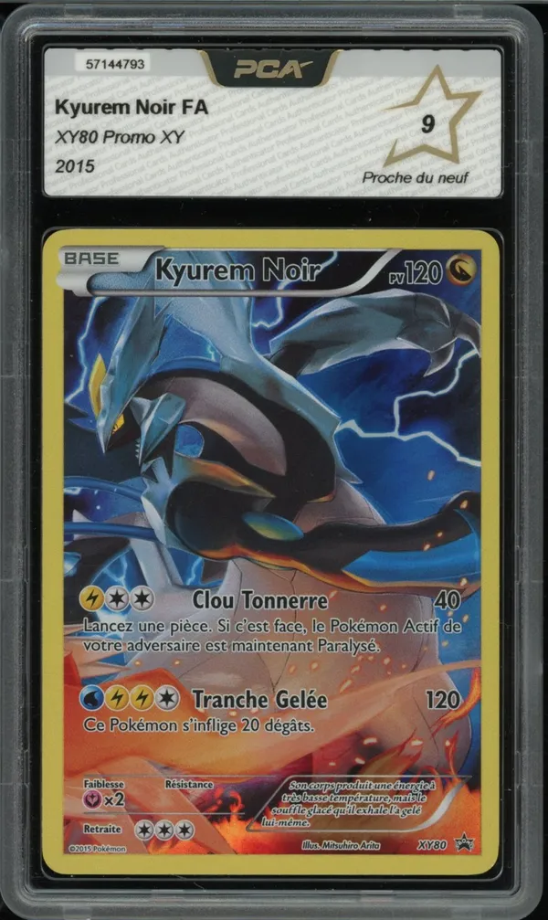 PCA 9 Kyurem Noir