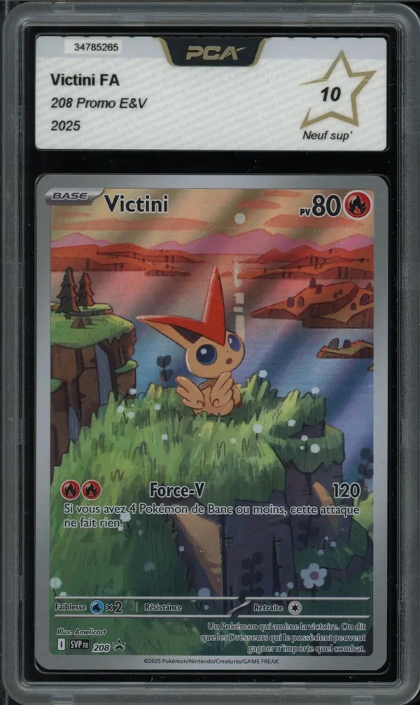 PCA 10 Victini
