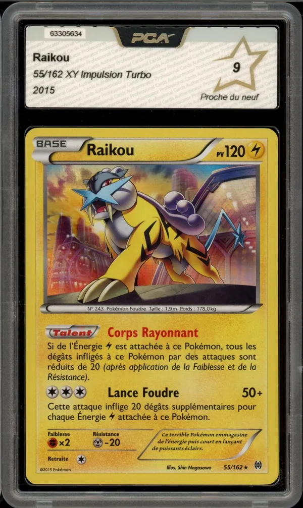 PCA 9 Raikou Holo