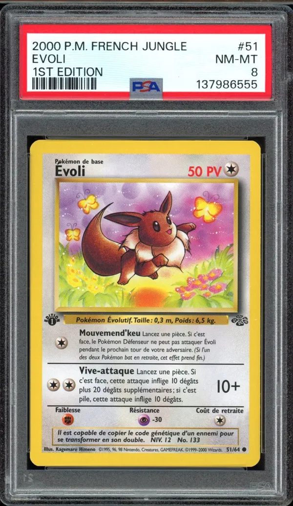 PSA 8 Evoli