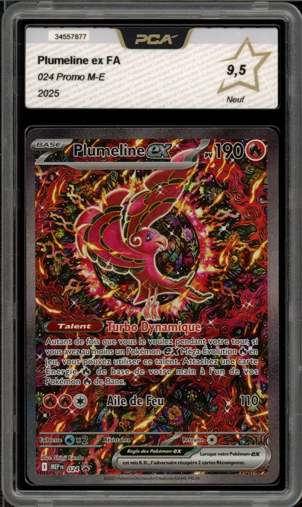 PCA 9.5 Plumeline Ex