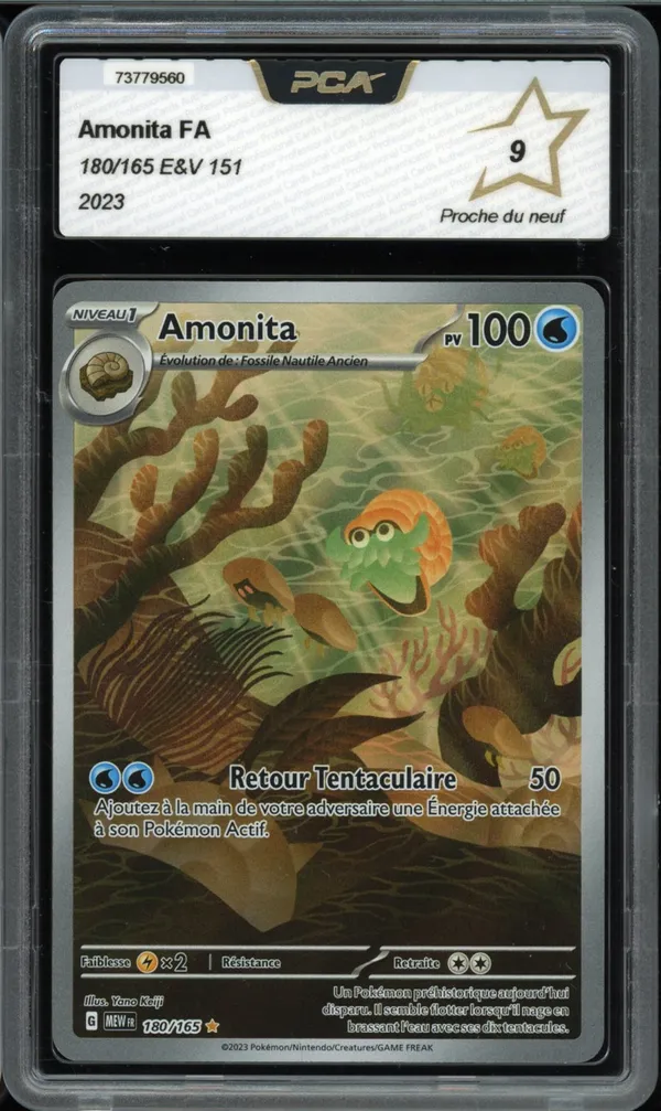 PCA 9 Amonita
