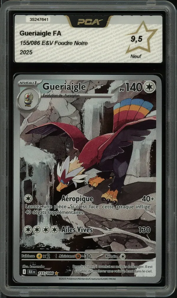 PCA 9.5 Gueriaigle