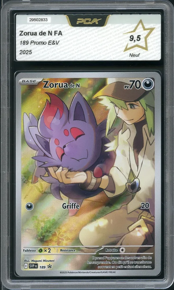 PCA 9.5 Zorua de N
