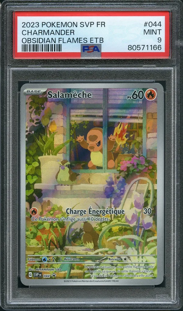 PSA 9 Salamèche