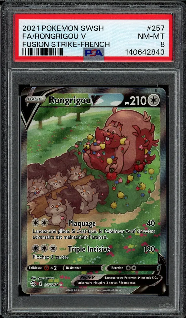 PSA 8 Rongrigou V