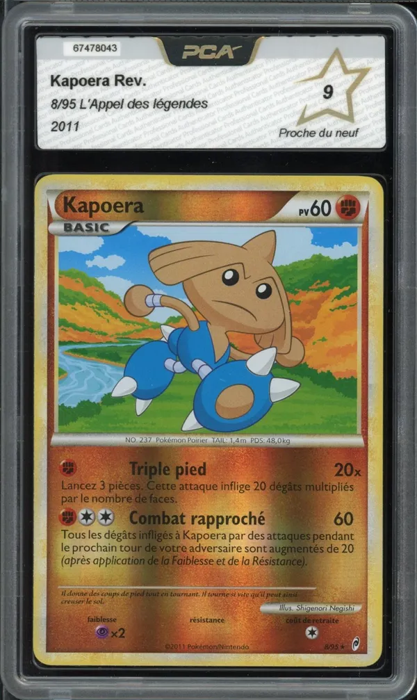 PCA 9 Kapoera Reverse