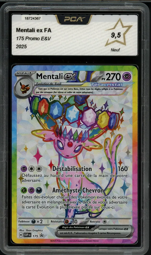 PCA 9.5 Mentali Ex