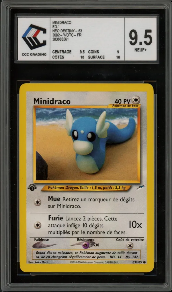 CCC 9.5 Minidraco