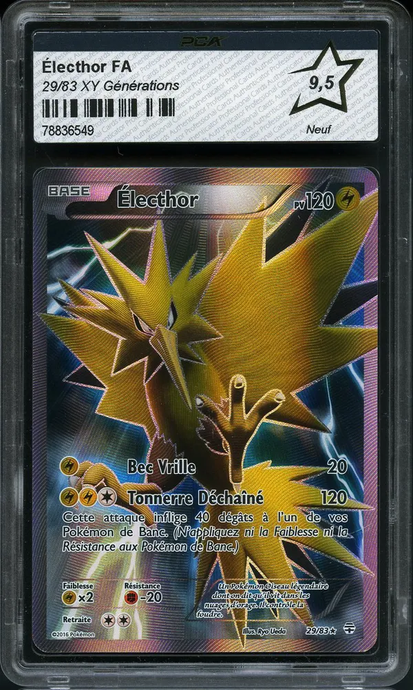 PCA 9.5 Electhor