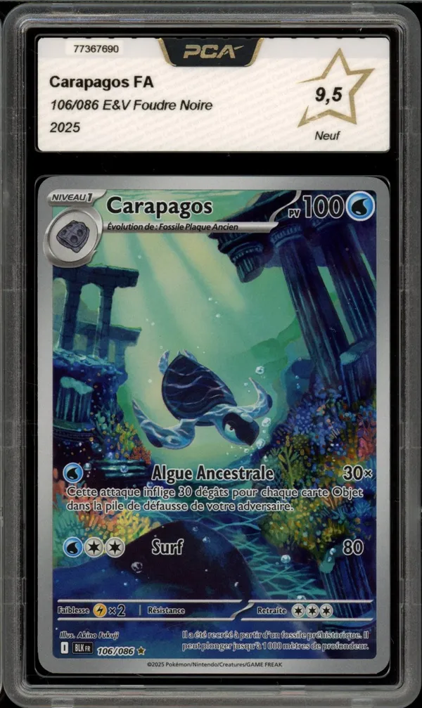 PCA 9.5 Carapagos