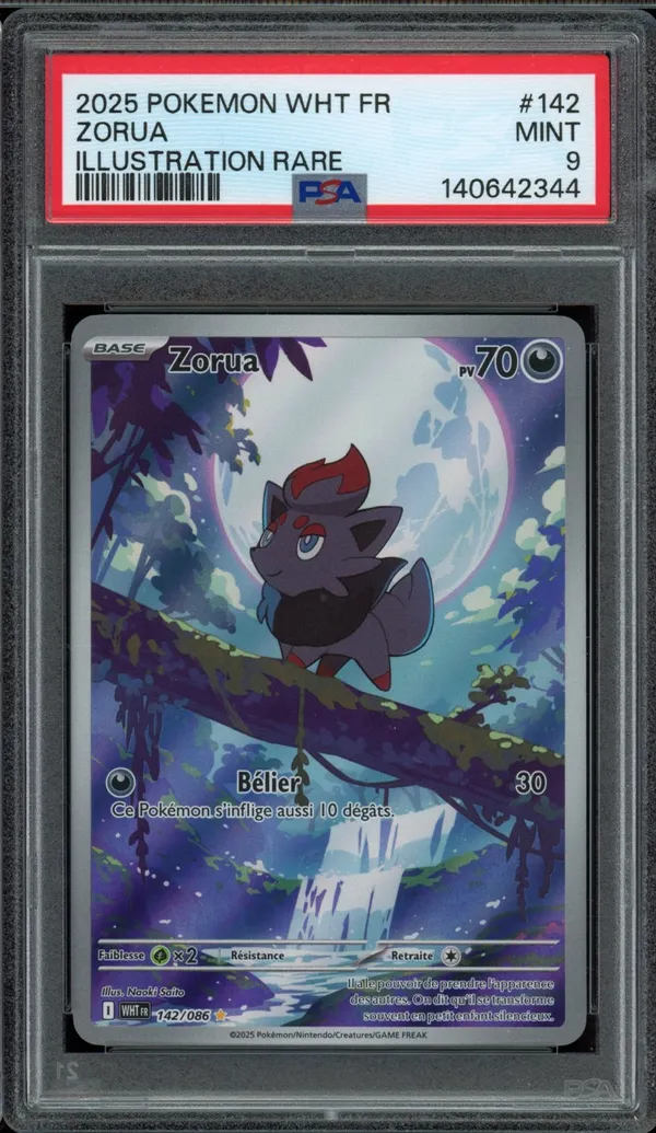 PSA 9 Zorua
