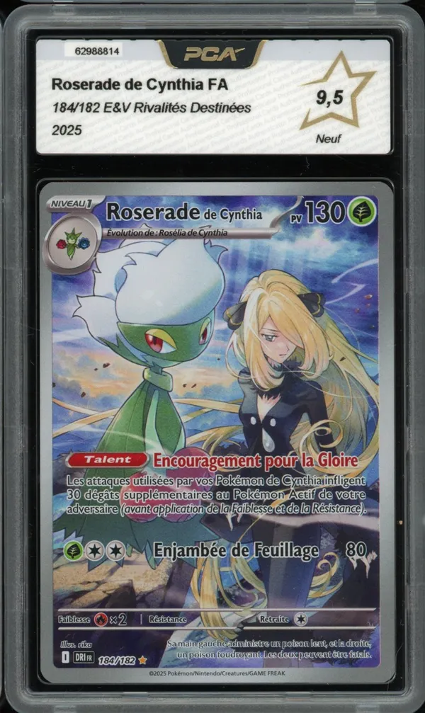 PCA 9.5 Roserade de Cynthia