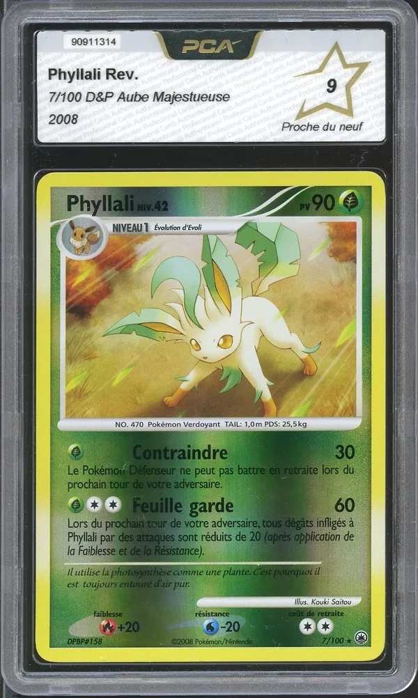 PCA 9 Phyllali Reverse