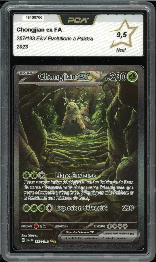 PCA 9.5 Chongjian Ex