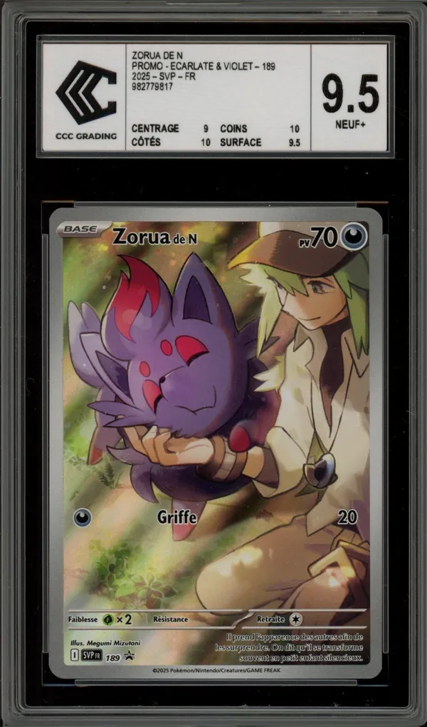 CCC 9.5 Zorua de N