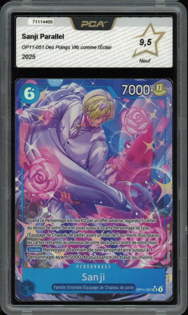 PCA 9.5 Sanji