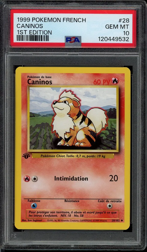 PSA 10 Caninos
