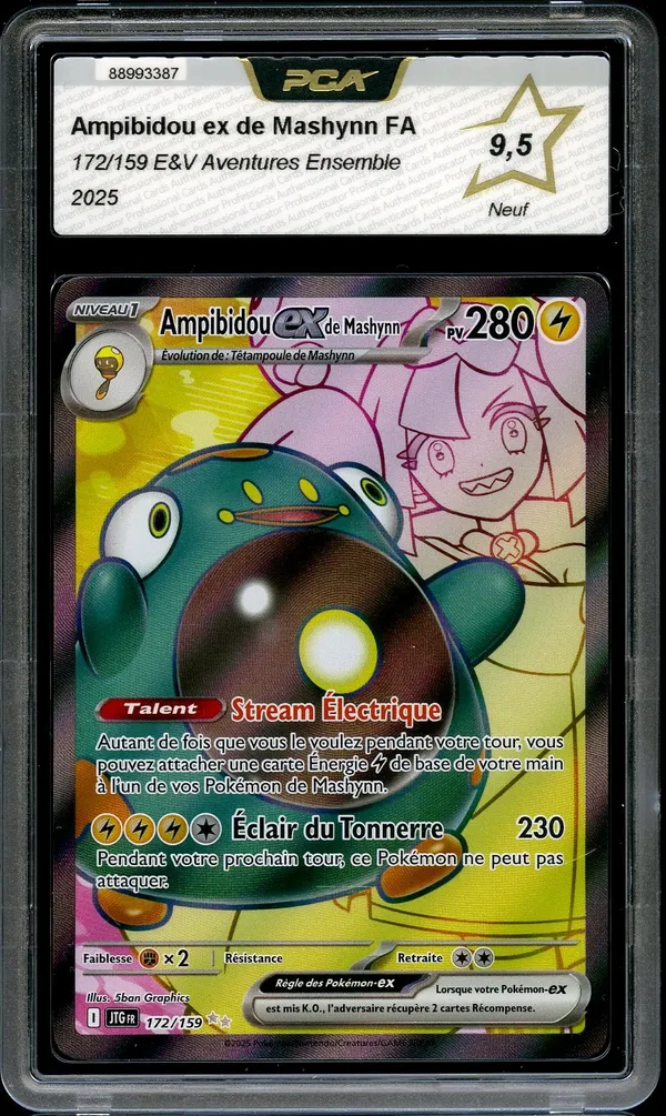 PCA 9.5 Ampibidou Ex de Mashynn