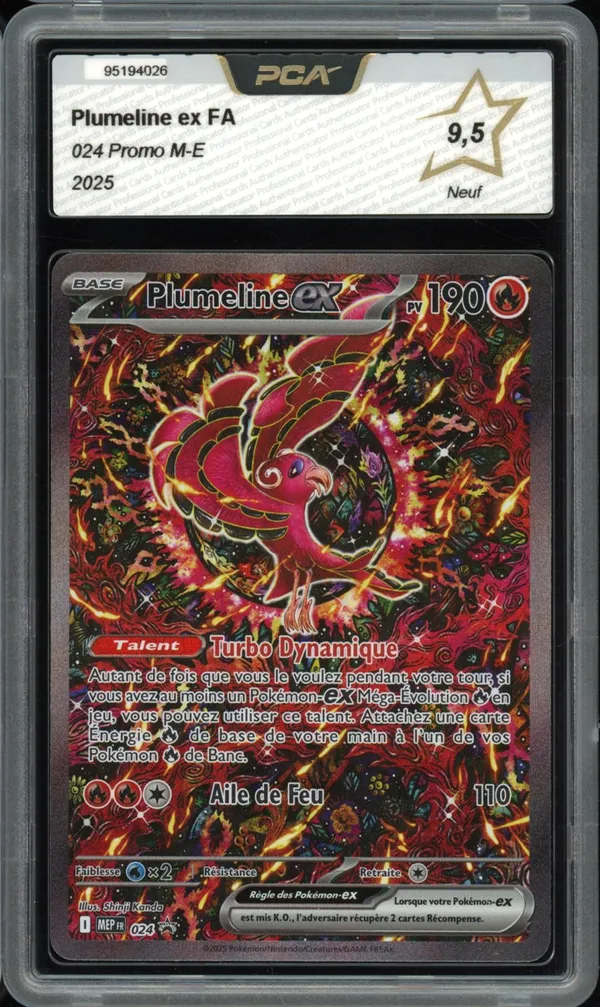 PCA 9.5 Plumeline Ex