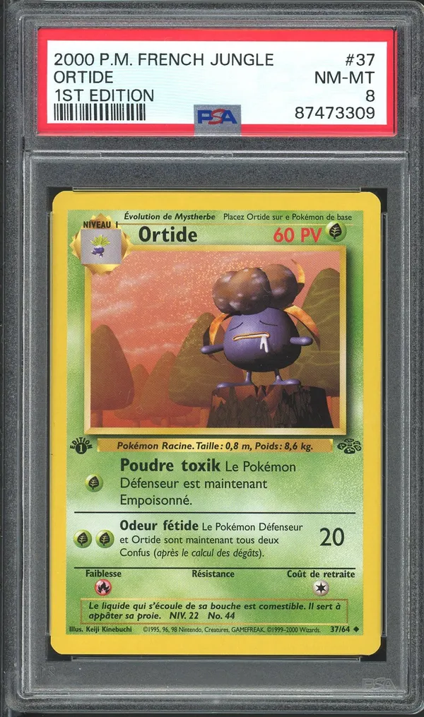 PSA 8 Ortide