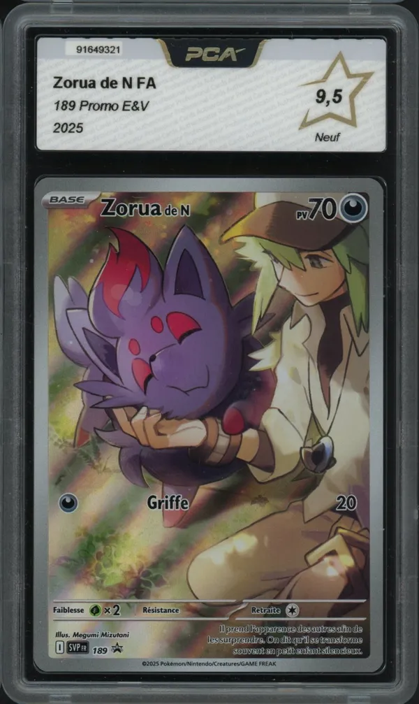 PCA 9.5 Zorua de N