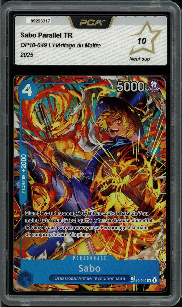 PCA 10 Sabo