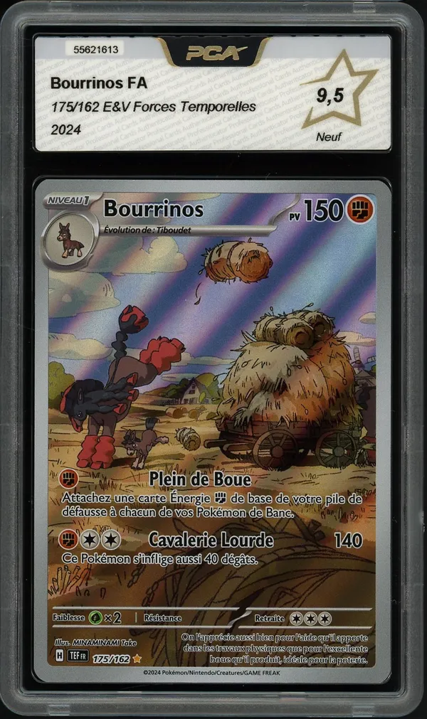 PCA 9.5 Bourrinos