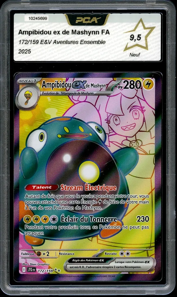 PCA 9.5 Ampibidou Ex de Mashynn