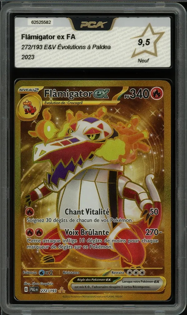 PCA 9.5 Flâmigator Ex Gold
